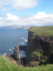 Stac, Handa Island