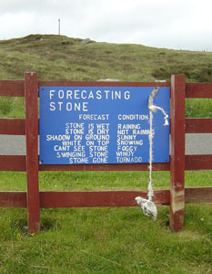 forecast